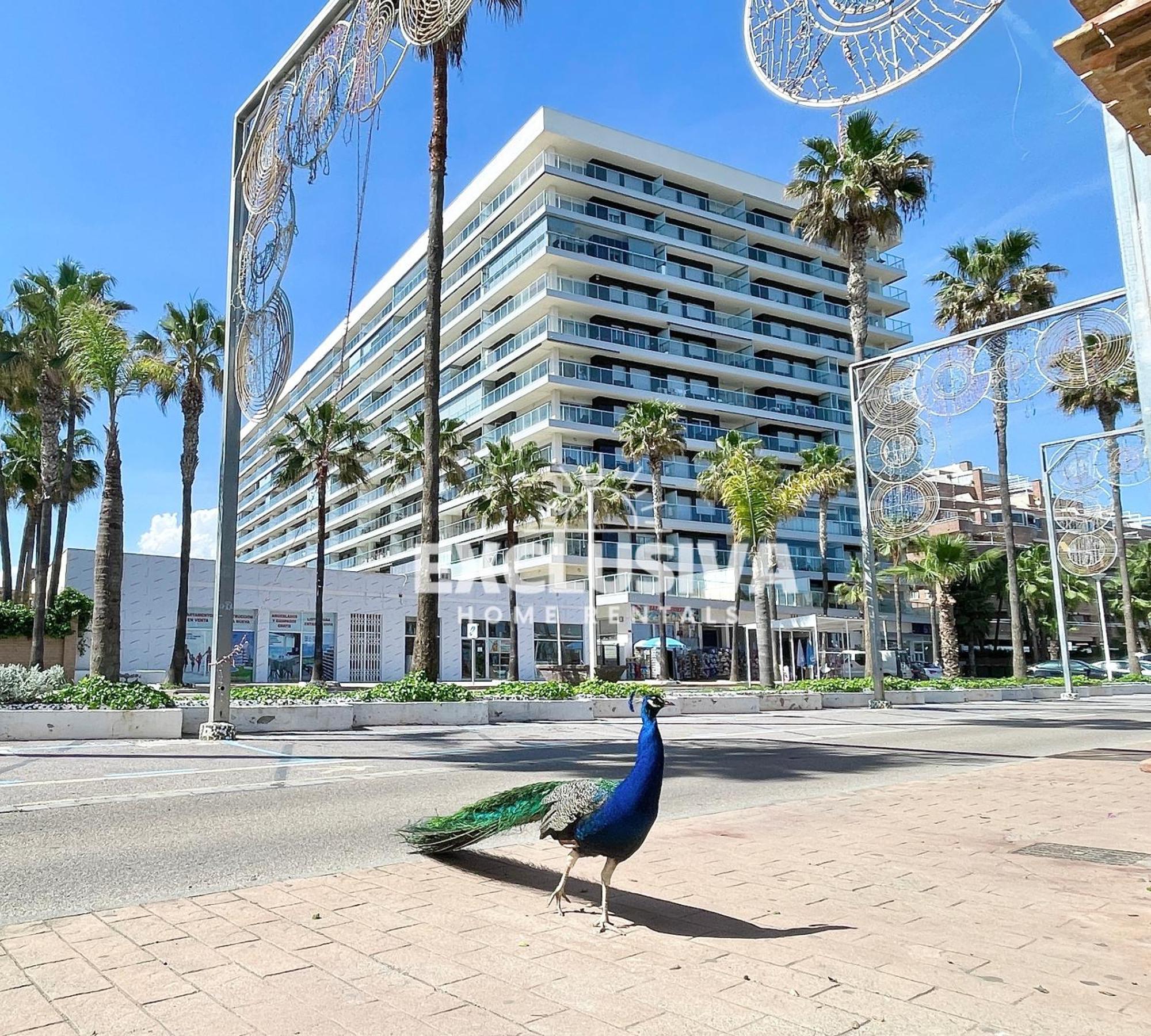 אורופסה דל מר Apartamento Albamarina, 1ªlinea, Magic World, Vistas Al Mar! מראה חיצוני תמונה